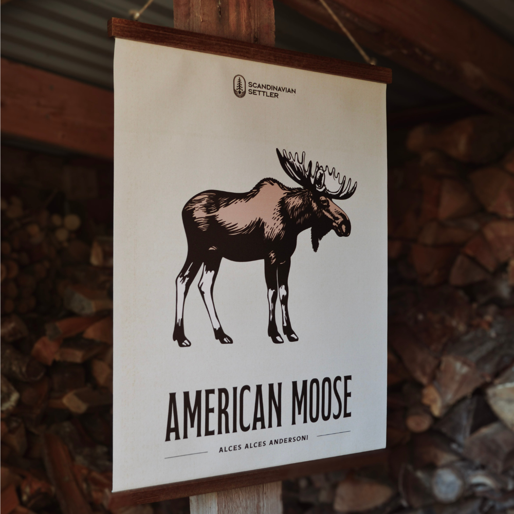 Canvastavla American Moose 40x50cm