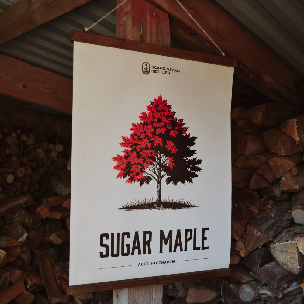 Canvastavla Maple Tree 40x50cm