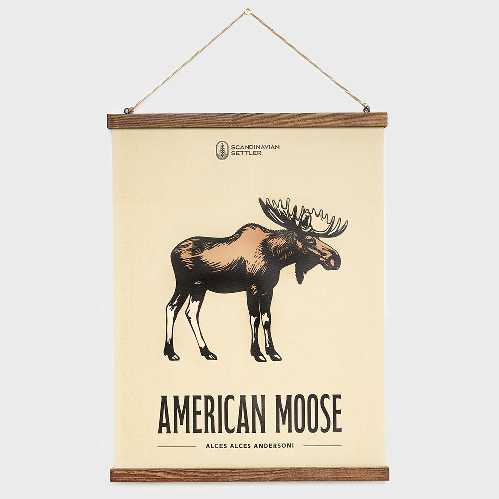 Canvastavla American Moose 40x50cm